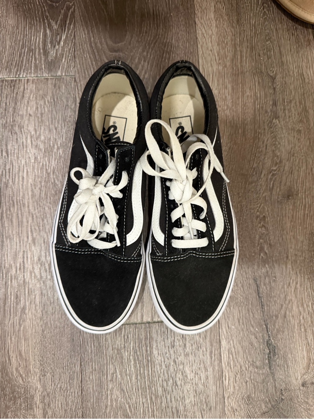 Vans Black and White Skate Sneakers